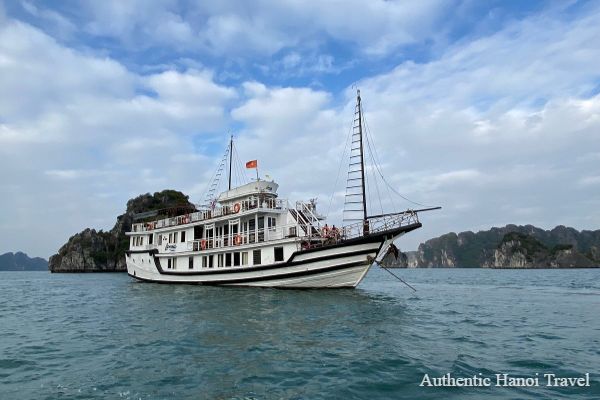 Renea Boutique Cruise in Bai Tu Long Bay (2D1N or 3D2N )